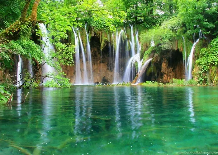 Dream *